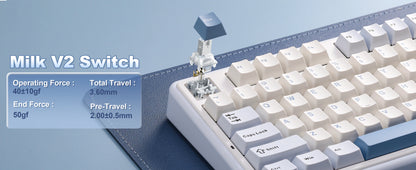 96% Wireless RGB Gaming Keyboard Hot Swappable Blue