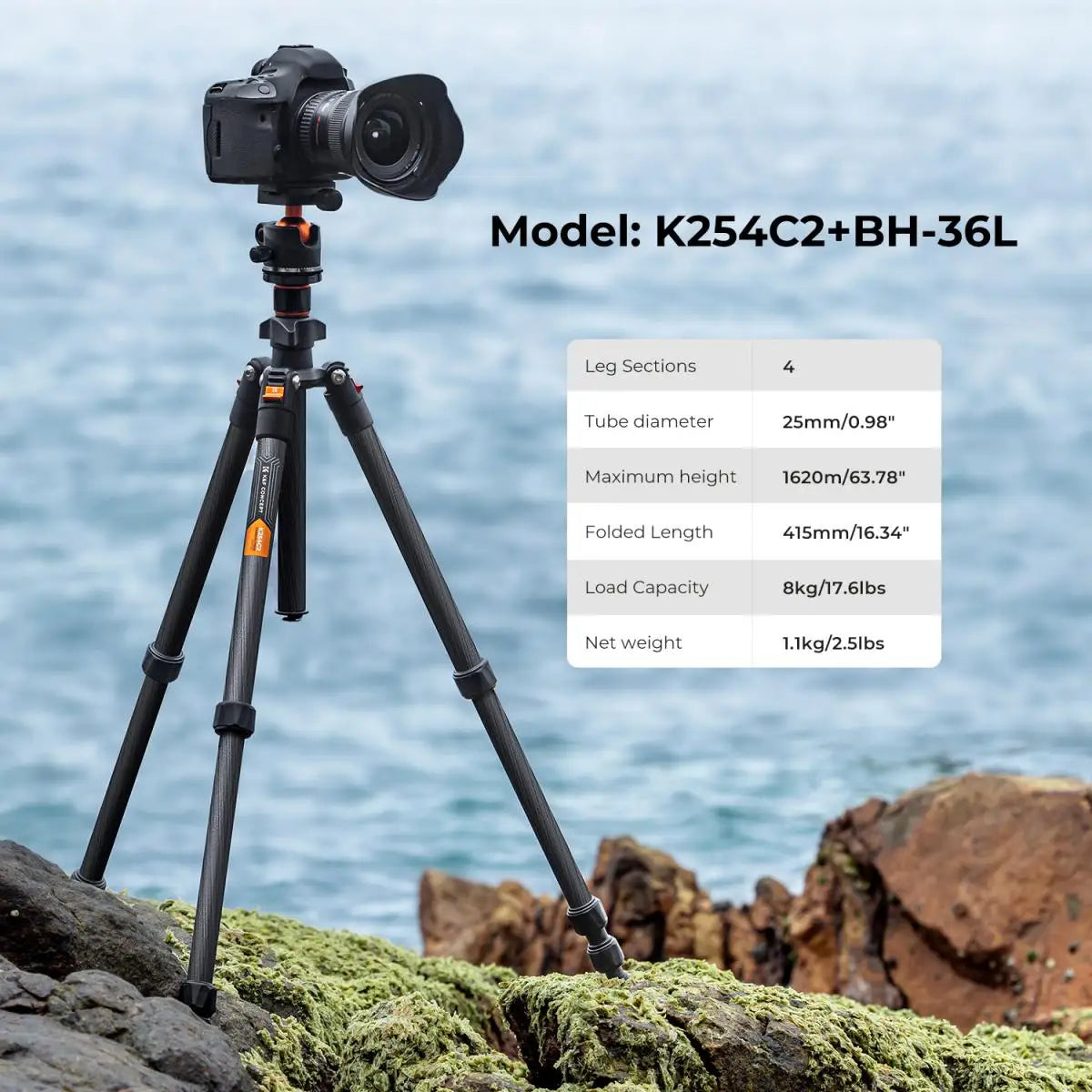 Voyager 64” Carbon Fiber Travel Tripod with 36mm Ball Head