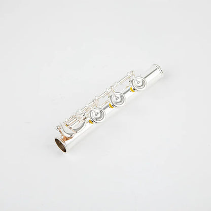 Professional 17-Hole C Key Silver Flute with Case