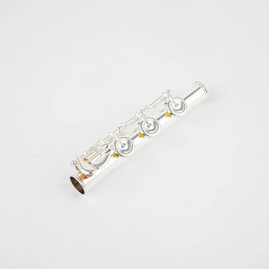 Professional 17-Hole C Key Silver Flute with Case