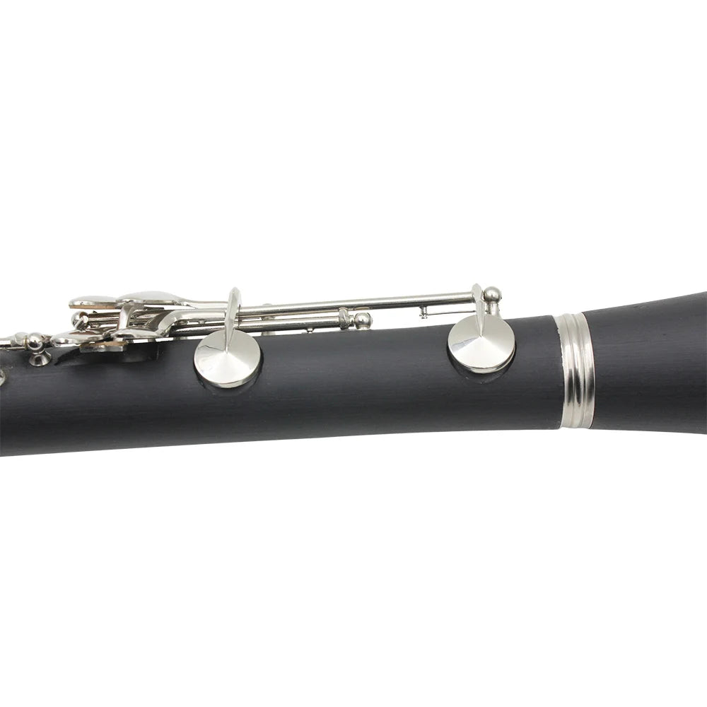 Professional 17 Key Bb Clarinet with Case and Reed