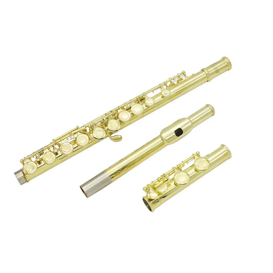 Professional Flute Set with Cleaning Kit and Gloves