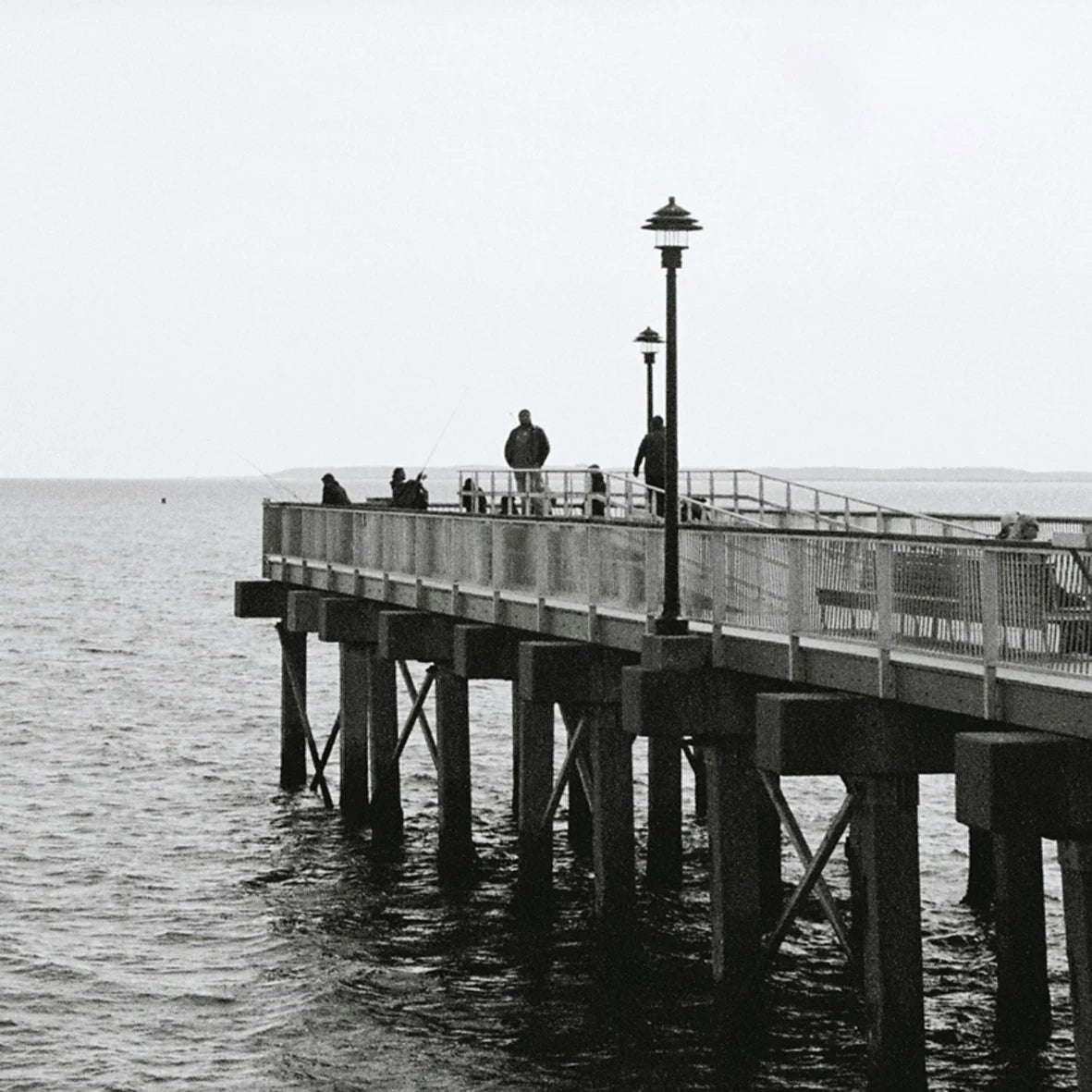 135 Black & White Reversal Film 30.5m ISO 100