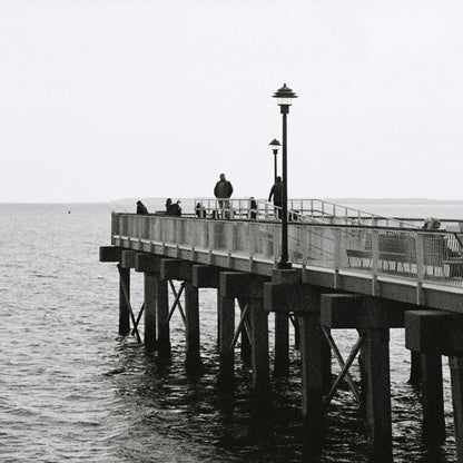 135 Black & White Reversal Film 30.5m ISO 100