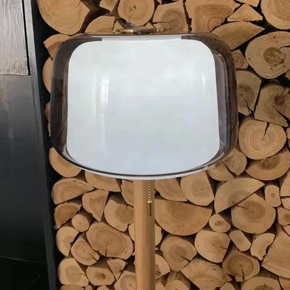 Modern Glass Floor Lamp 148cm Remote Dimmable LED