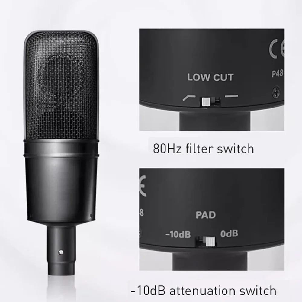 Large Diaphragm Condenser Microphone for Studio Recording