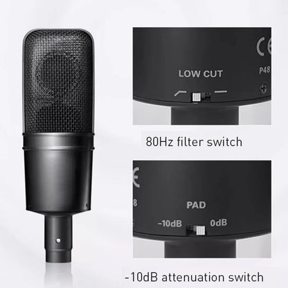 Large Diaphragm Condenser Microphone for Studio Recording