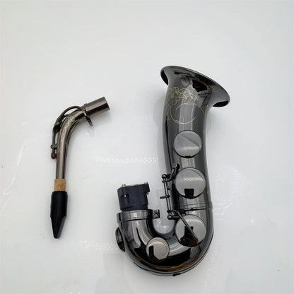 Professional Alto Saxophone Bend Pipe Kit with Leather Case