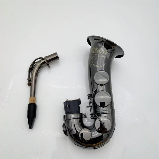 Professional Alto Saxophone Bend Pipe Kit with Leather Case