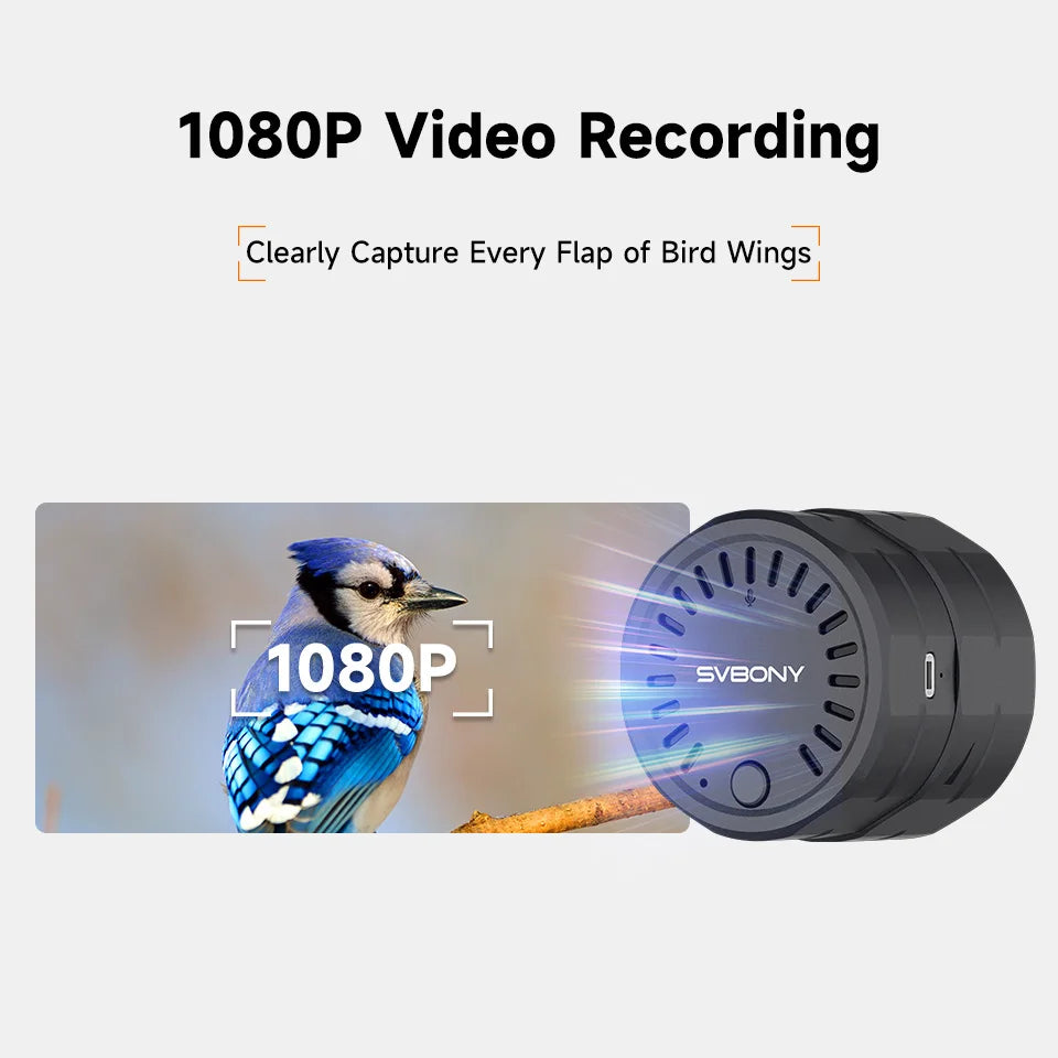 WiFi Electronic Eyepiece Camera for Bird Watching