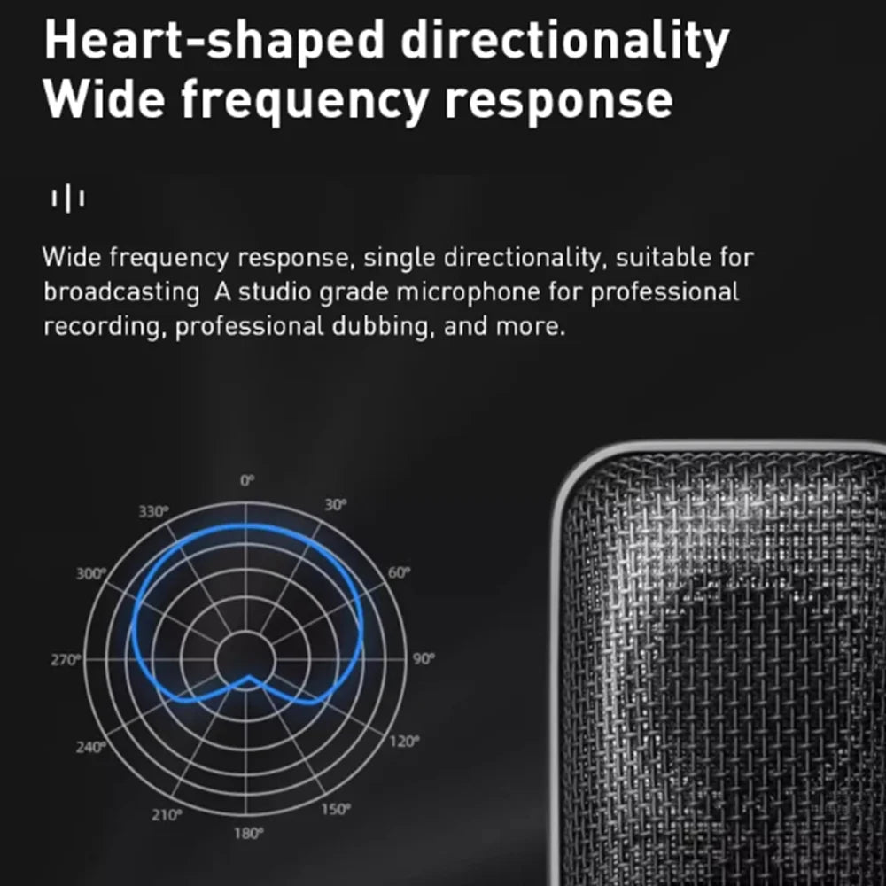 Large Diaphragm Condenser Microphone for Studio Recording
