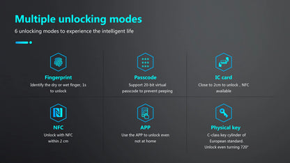 Smart Black Fingerprint Lock Set with Remote Access