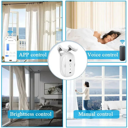 Bluetooth Double Smart Curtain Motor with App and Timer Control