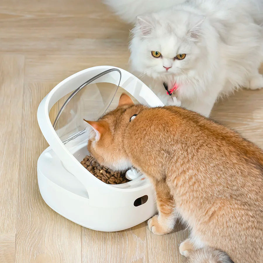 Smart Automatic Pet Feeder for Cats and Dogs