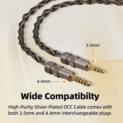 High Resolution Hybrid In-Ear Earphones with Tuning Nozzles