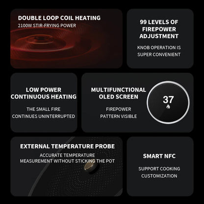 Portable 2100W Induction Cooktop OLED Screen 99 Levels AU Adapter