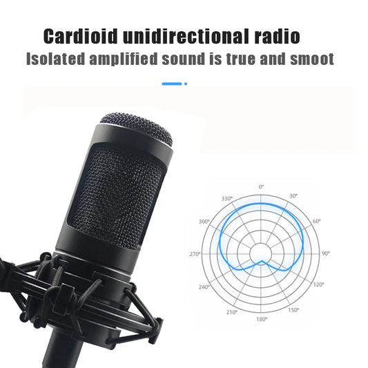 Studio Condenser Microphone AT2035 Noise Cancelling Recording