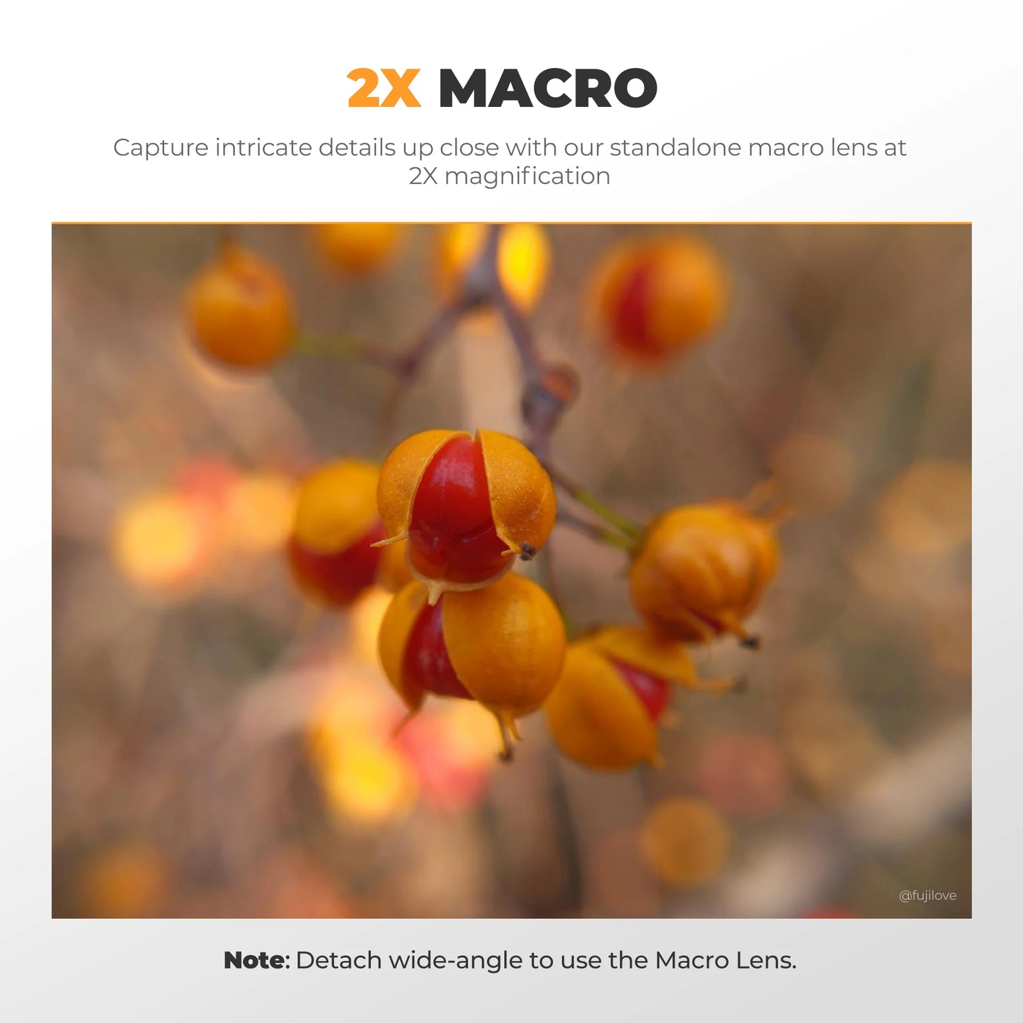 Compact 2in1 Macro Wide Lens X100 Cameras