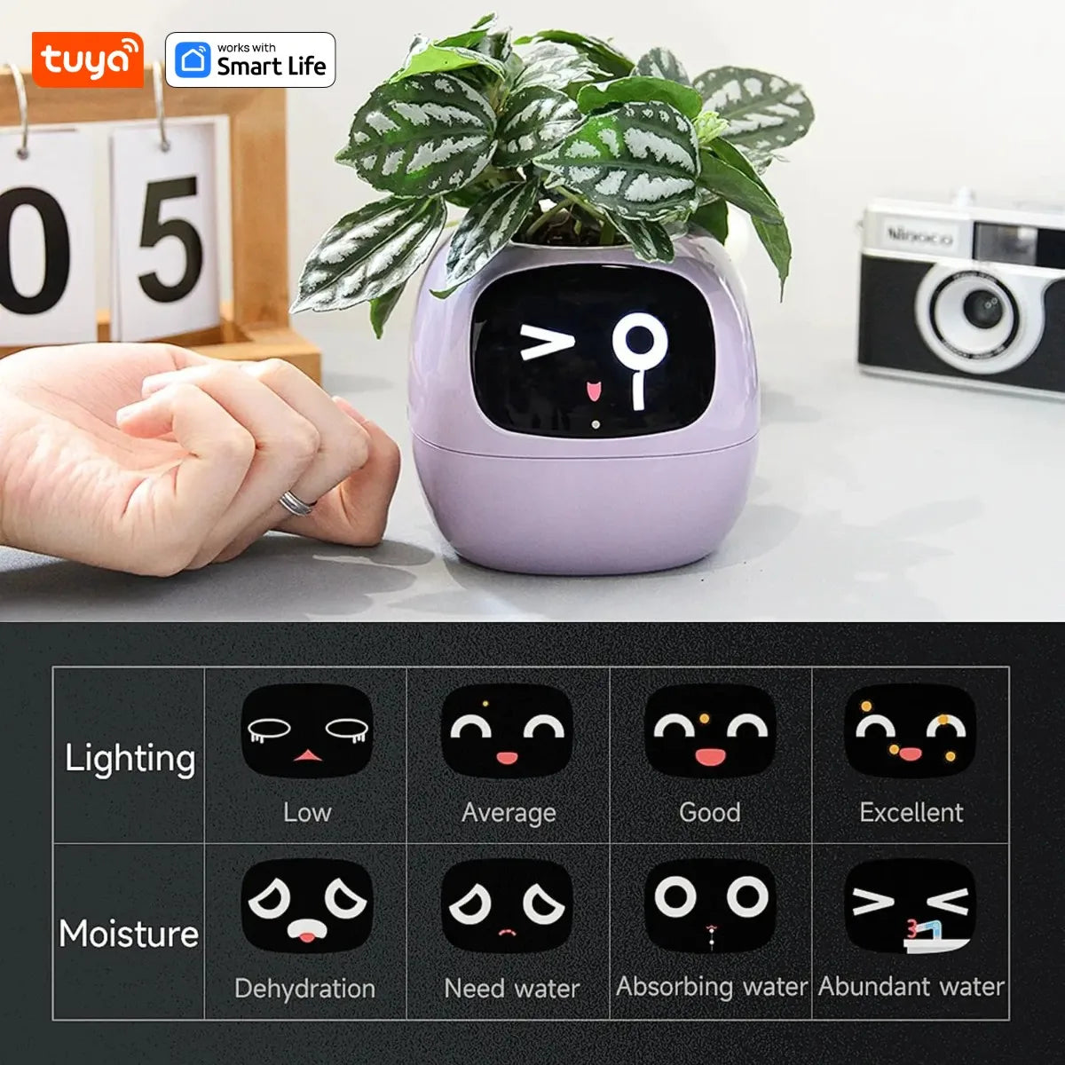 Smart Plant Pot with AI 49 Expressions and 7 Sensors