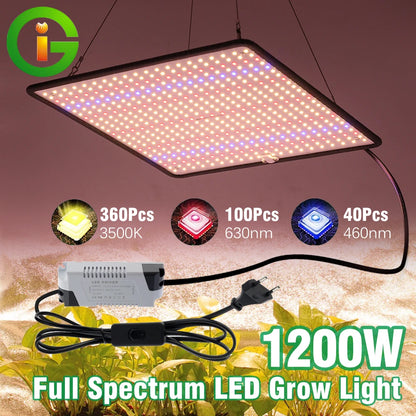 40W Full Spectrum Grow Lights for Indoor Tent Plants 3pcs