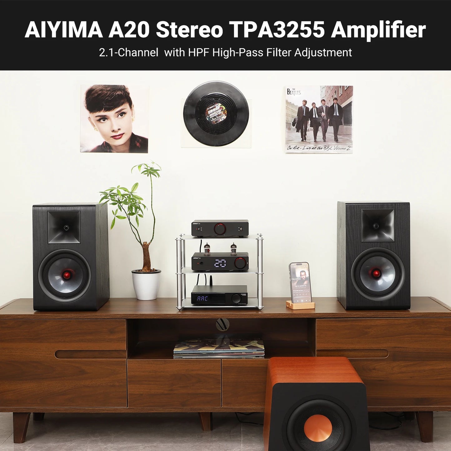 300W X2 HiFi Stereo Power Amplifier with XLR RCA