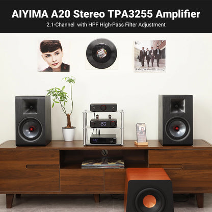 300W X2 HiFi Stereo Power Amplifier with XLR RCA