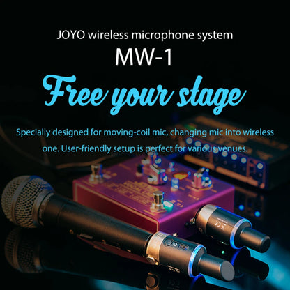 Wireless Mic System with 4 Switchable Channels and Receiver