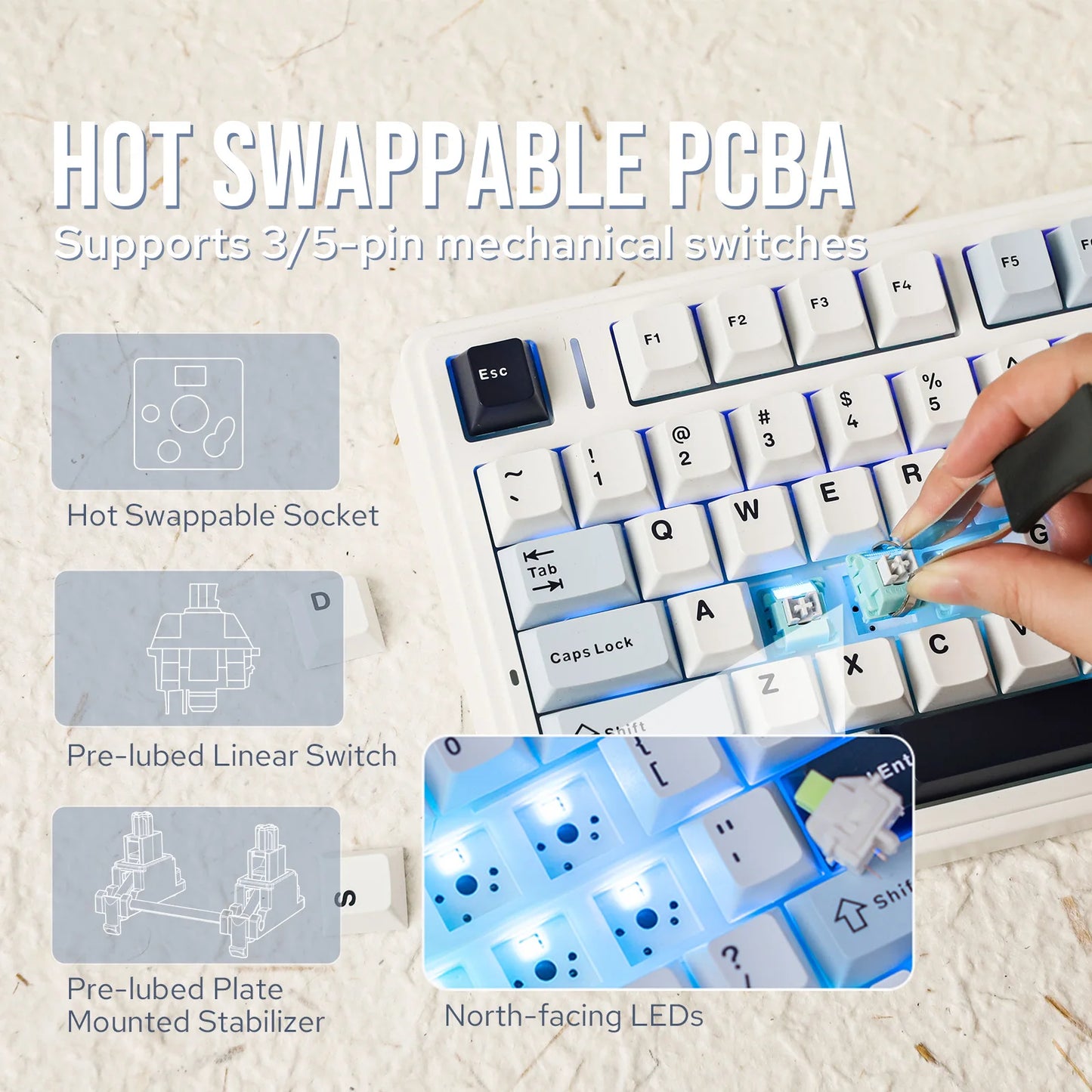 Side Printed Keys Wireless Mechanical Keyboard RGB Hot Swap