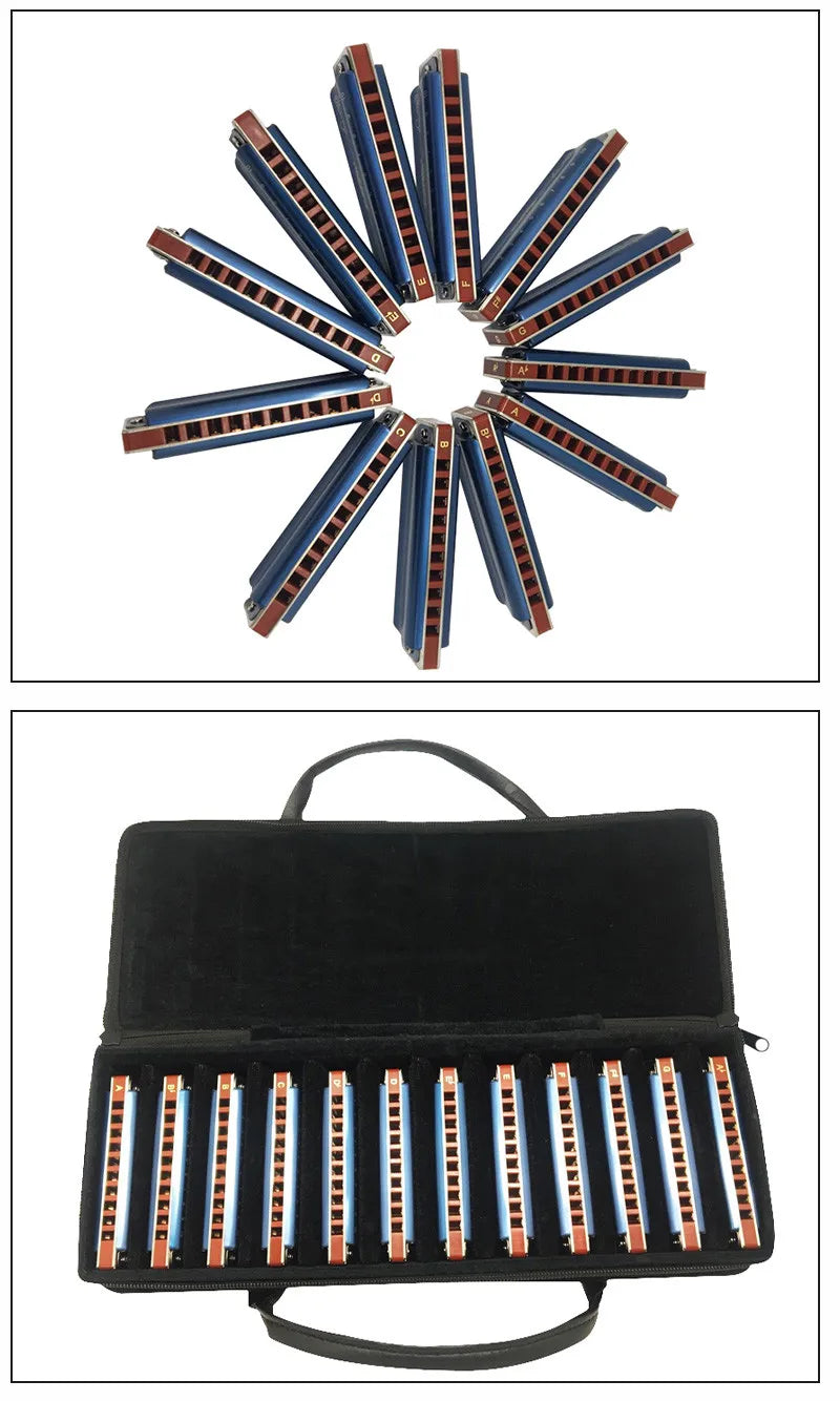 12-Piece Diatonic Blues Harmonica Set 10-Hole 12 Keys