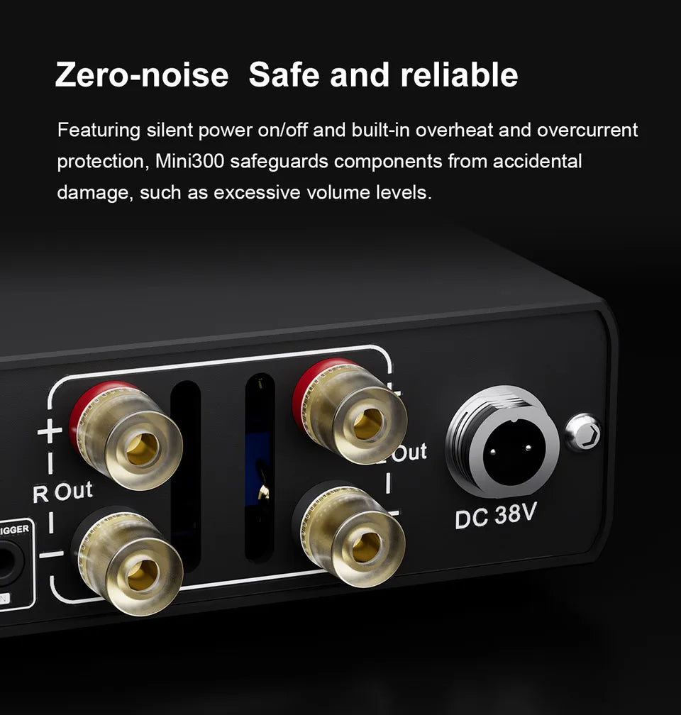 Black Compact Class D Stereo Amplifier