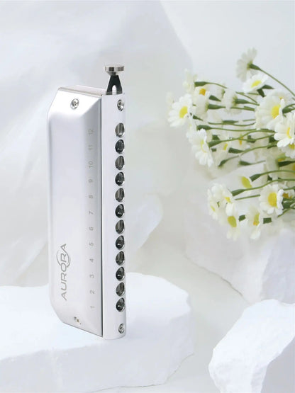 Portable 12 Hole Chromatic Harmonica Key G