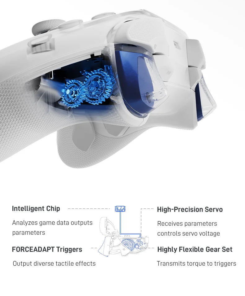 Wireless Gaming Gamepad with Dock for PC & Switch