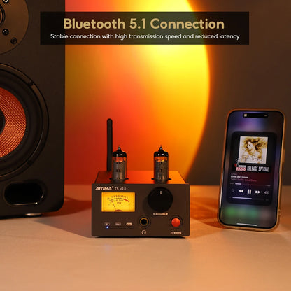 Class D 2.0 Channel Amplifier with VU Meter