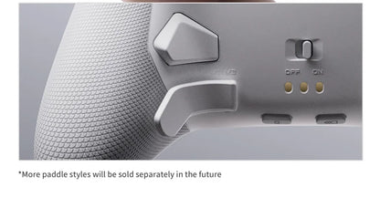 Wireless Gaming Gamepad with Dock for PC & Switch