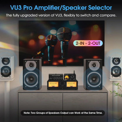 2-Way Amplifier and Speaker Switcher with Analog Display