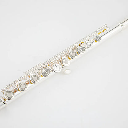 Professional 17-Hole C Key Silver Flute with Case