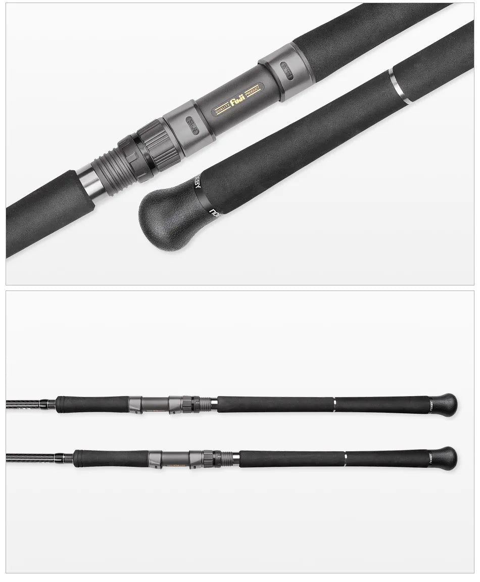 Portable 2.9m MH Spinning Fishing Rod 80g Lure