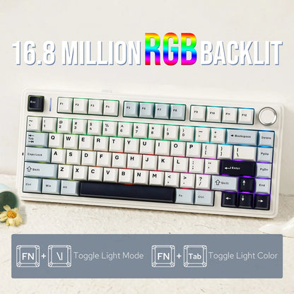 Side Printed Keys Wireless Mechanical Keyboard RGB Hot Swap