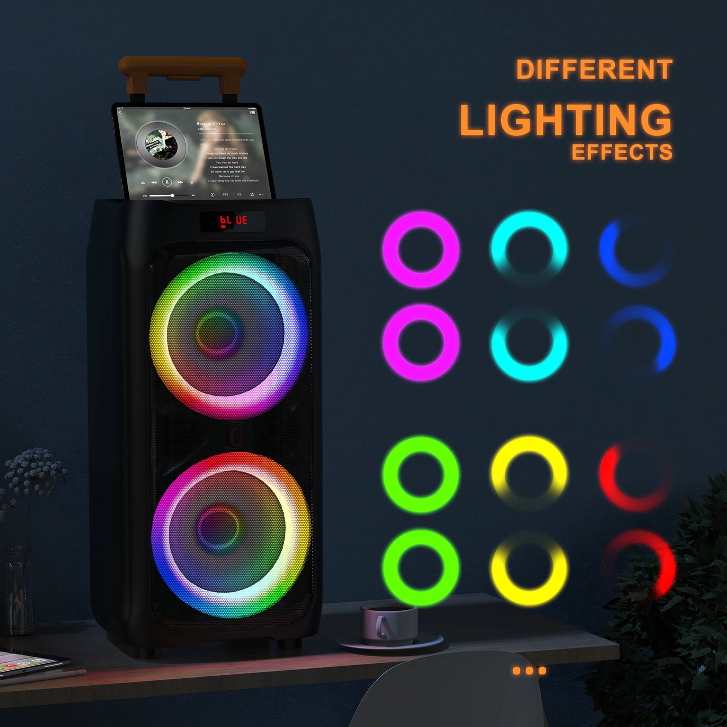 Wireless Home Karaoke Speaker for Kids and Adults