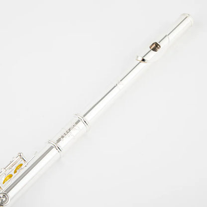 Professional 17-Hole C Key Silver Flute with Case