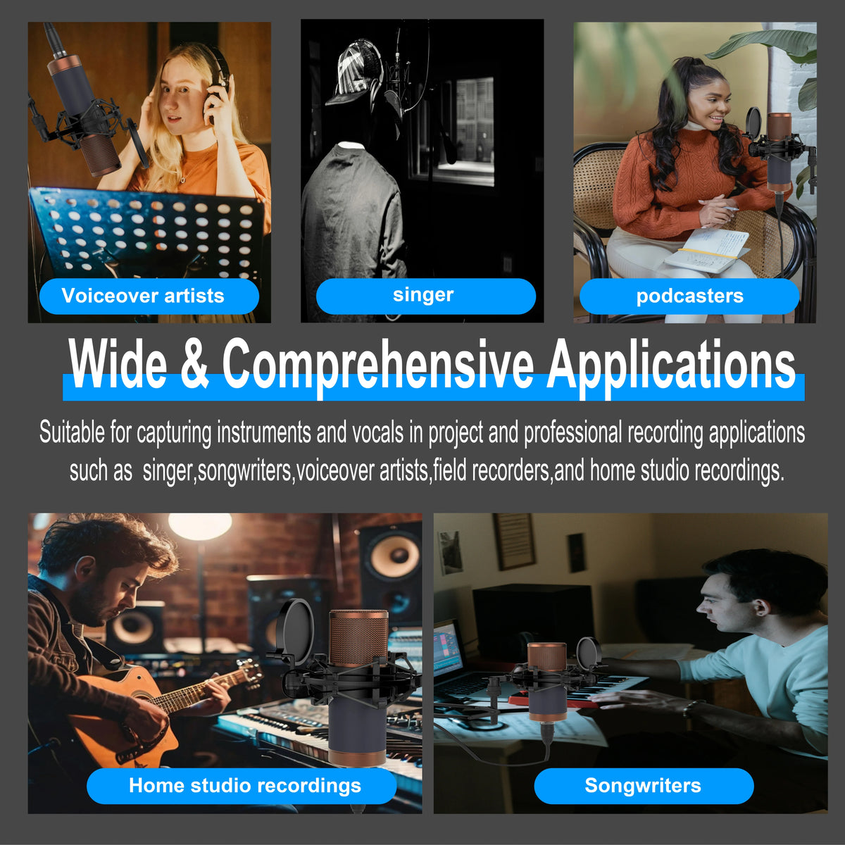 Large Diaphragm Condenser Microphone XLR Studio Recording