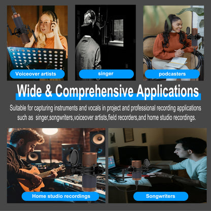 Large Diaphragm Condenser Microphone XLR Studio Recording