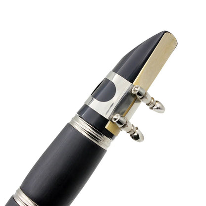 Professional 17 Key Bb Clarinet with Case and Reed