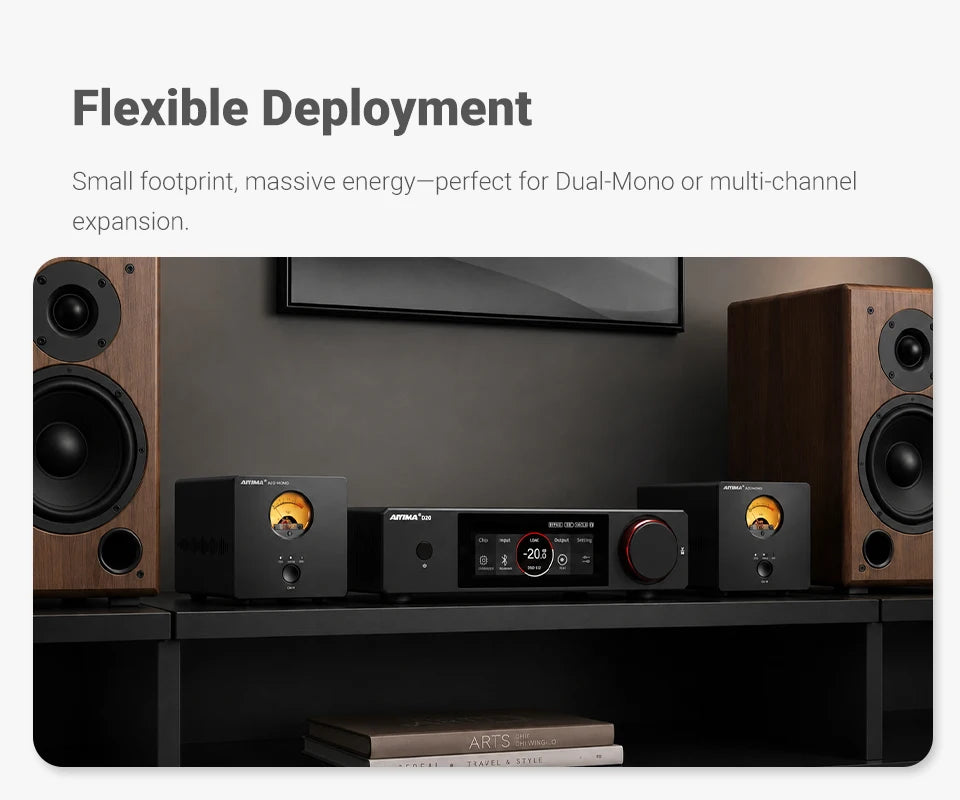 300W Class D Mono Power Amplifier with XLR RCA Input