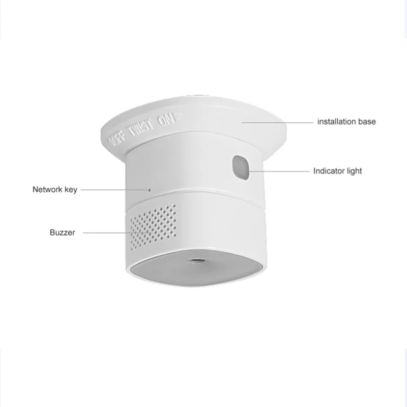2PCS Tuya Zigbee 3.0 Carbon Monoxide Sensors for Home Automation