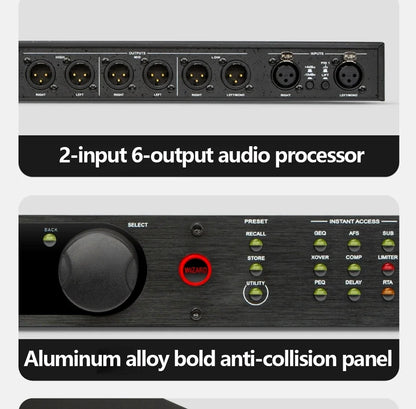 Professional Digital Audio Crossover Processor with Feedback Suppression