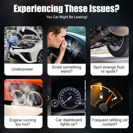 Portable Vehicle Smoke Tester with Built-In Air Compressor