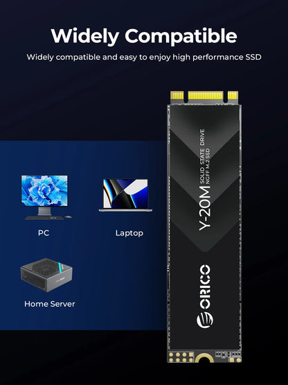 Portable 2TB M.2 NGFF SSD for Laptop Desktop