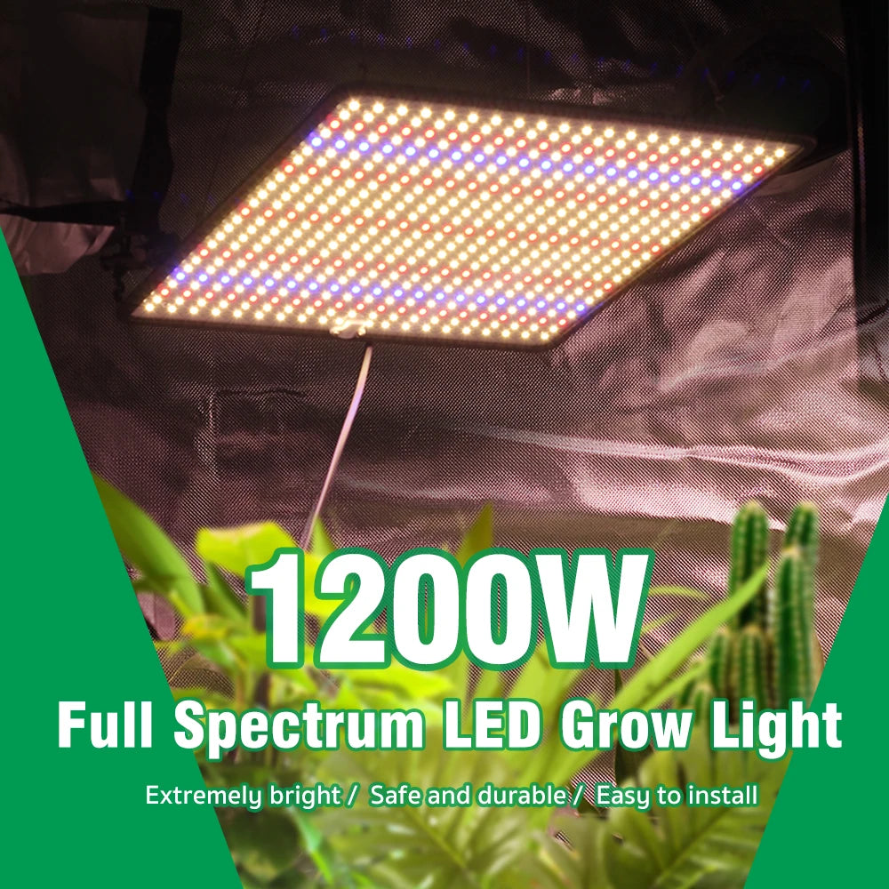 40W Full Spectrum Grow Lights for Indoor Tent Plants 3pcs