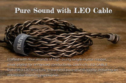 High Fidelity Hybrid In Ear Monitors with Dual Connectors